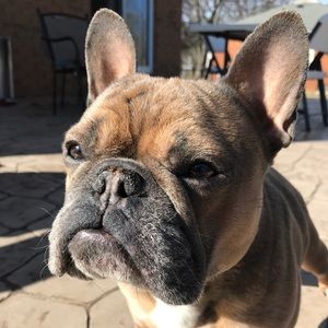 Meet your Posher, Daniella